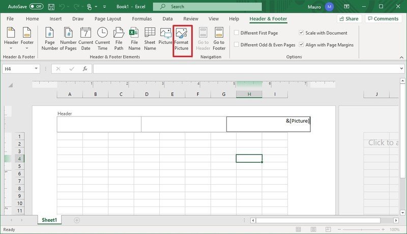 Botón de imagen en formato Excel