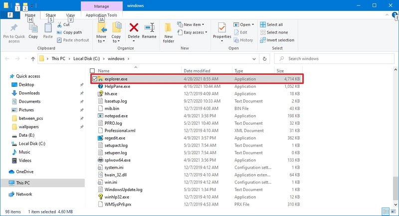 Carpeta de Windows explorer.exe