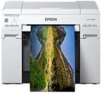 Controlador Epson SureLab D870