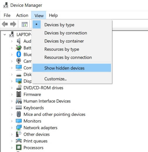 Haga clic en ver y luego seleccione Mostrar dispositivos ocultos